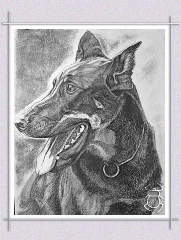 Dogs Portrait