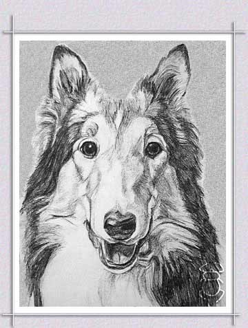 Dogs Portrait